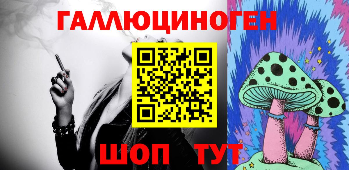 дарнет шоп  Вход с VPN  Лиски  Галлюциногенные грибы прущие грибы 