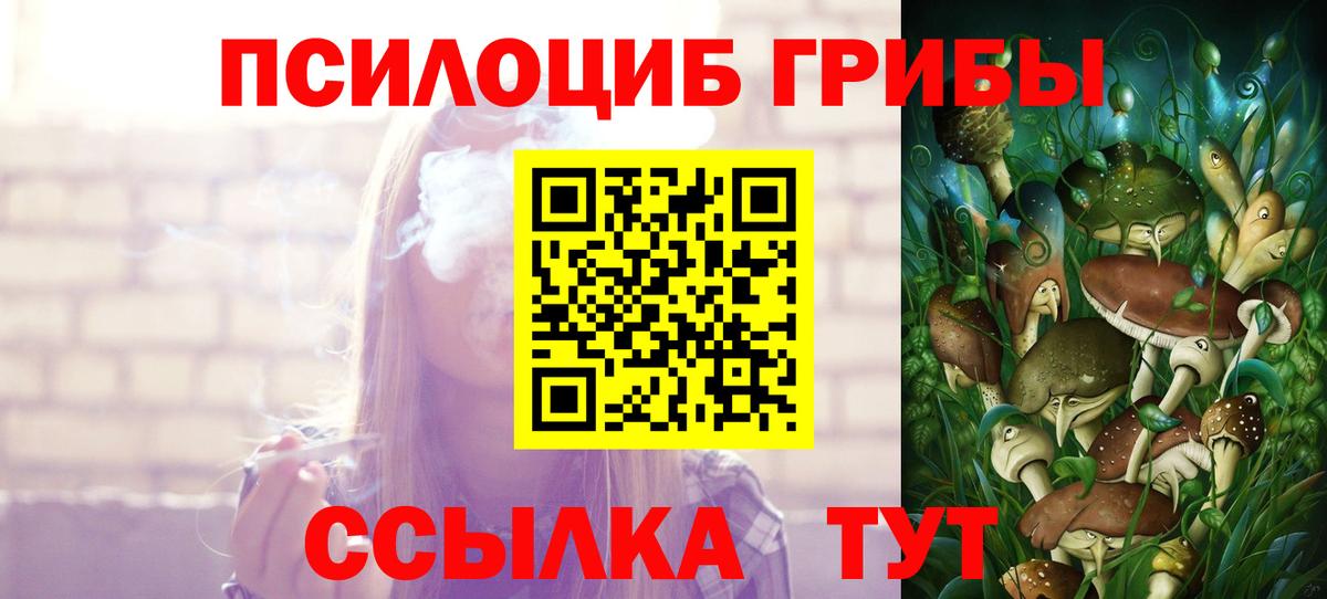 Псилоцибиновые грибы GOLDEN TEACHER Лиски